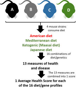 190212_Article_OtherImage.docx