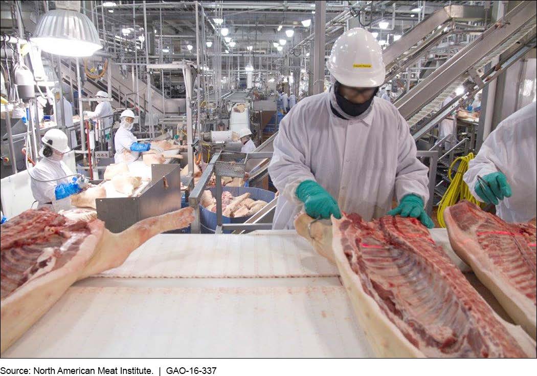 https://commons.wikimedia.org/wiki/File:Figure_7-_Workers_in_a_Hog_Slaughter_and_Processing_Plant_Use_Hooks_and_Other_Tools_(27007559560).jpg
